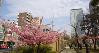 帰り道はスキップ８１歳。