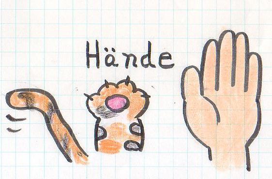 猫の手Hände