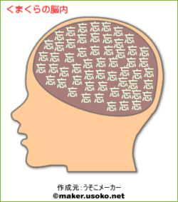 くまくらの脳内